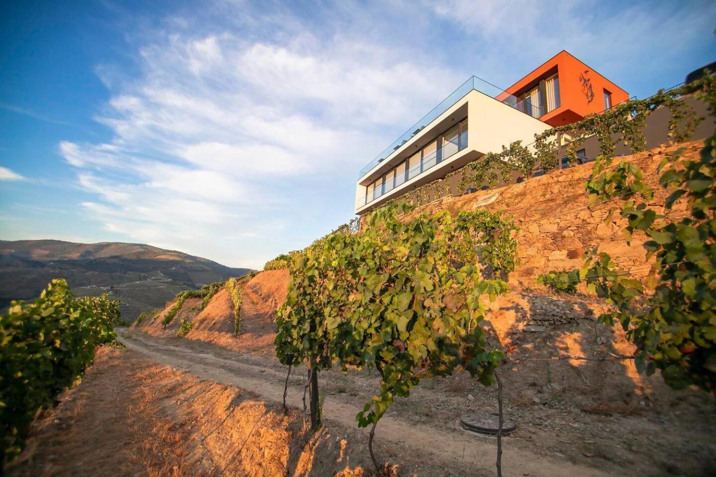 Bed and Breakfast Quinta Vale De Lobos Folgosa  Exterior foto